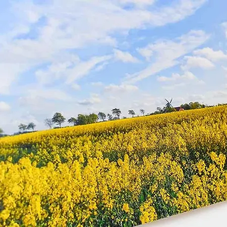 Landwarf Grafthof * נויהרלינגרזיל