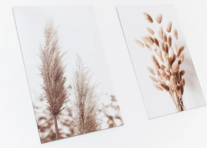 Landwarf Grafthof Апартаменты