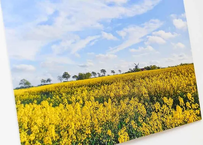 Landwarf Grafthof * Нойхарлингерзиль